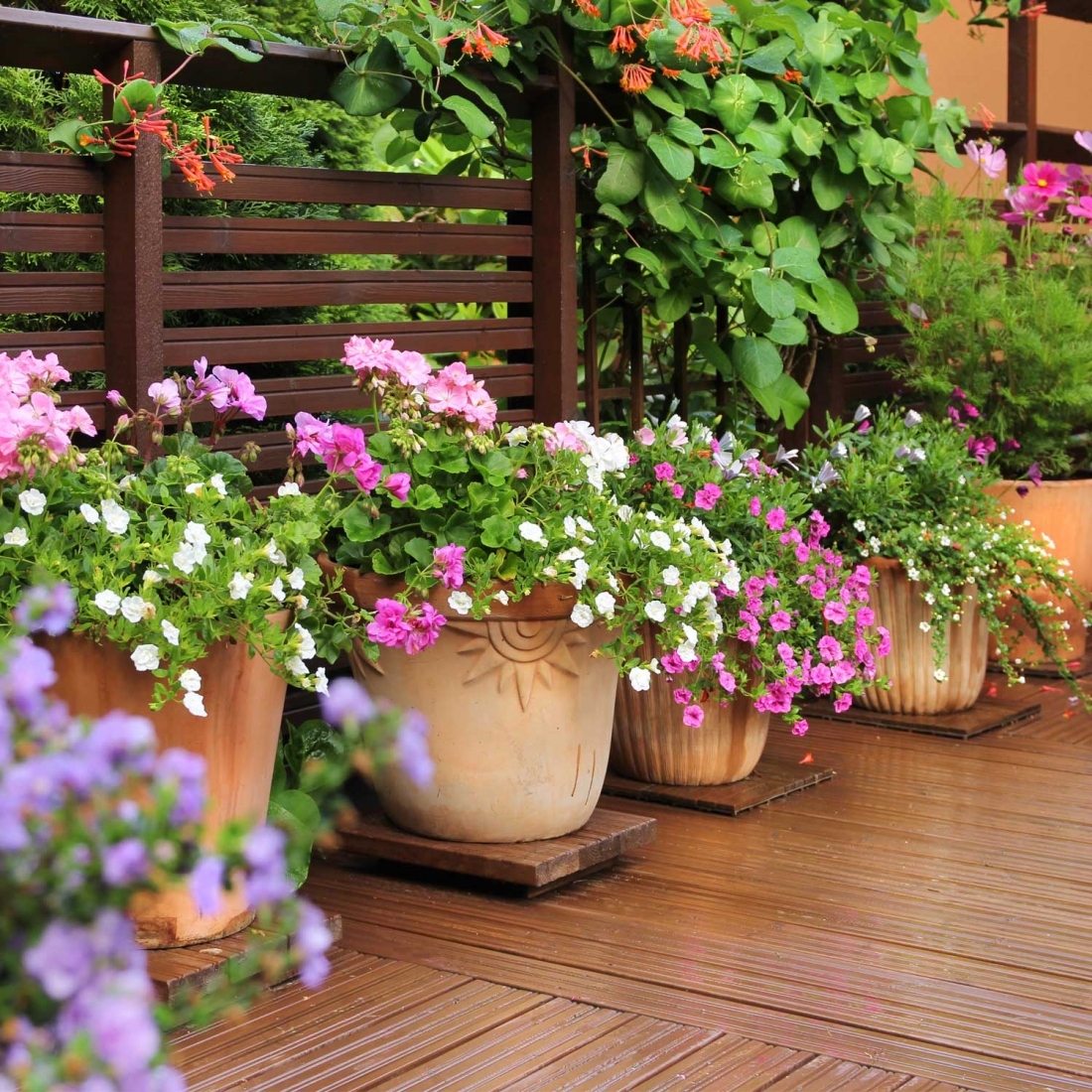 Fiori Per Vasi Alti Da Esterno.Vasi Da Interni Esterni E Da Giardino