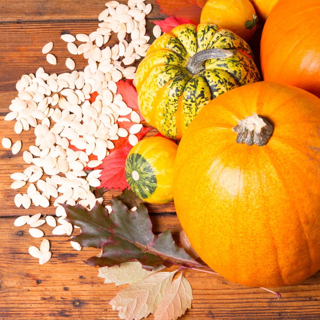 Lavoretti Di Natale Con Semi Di Zucca.Come Piantare I Semi Di Zucca