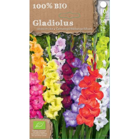 Gladiolo Grandiflora in Mix Confezione da 10 Bulbi 100% Biologici