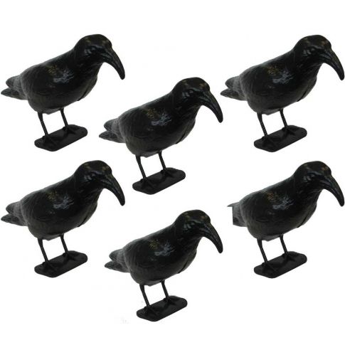 1 Set statua di corvo piumato figurina di uccello fatta a mano schiuma  dall'aspetto realistico