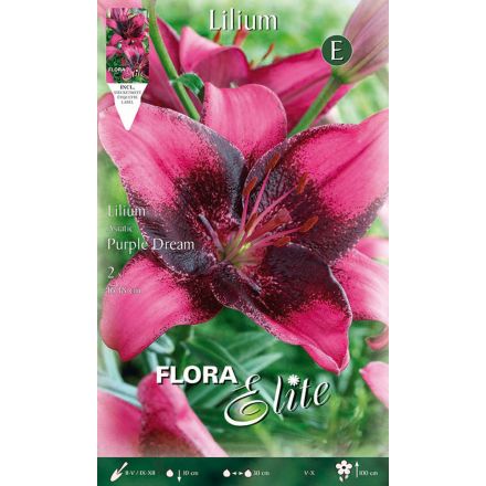 LILIUM ASIATIC PURPLE DREAM (CONFEZIONE DA 2 BULBI)