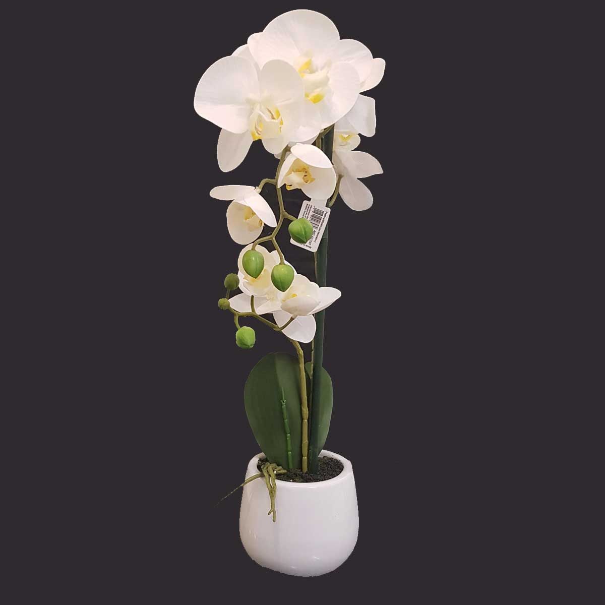 Orchidea Artificiale In Vaso 10x48 Cm Bianca