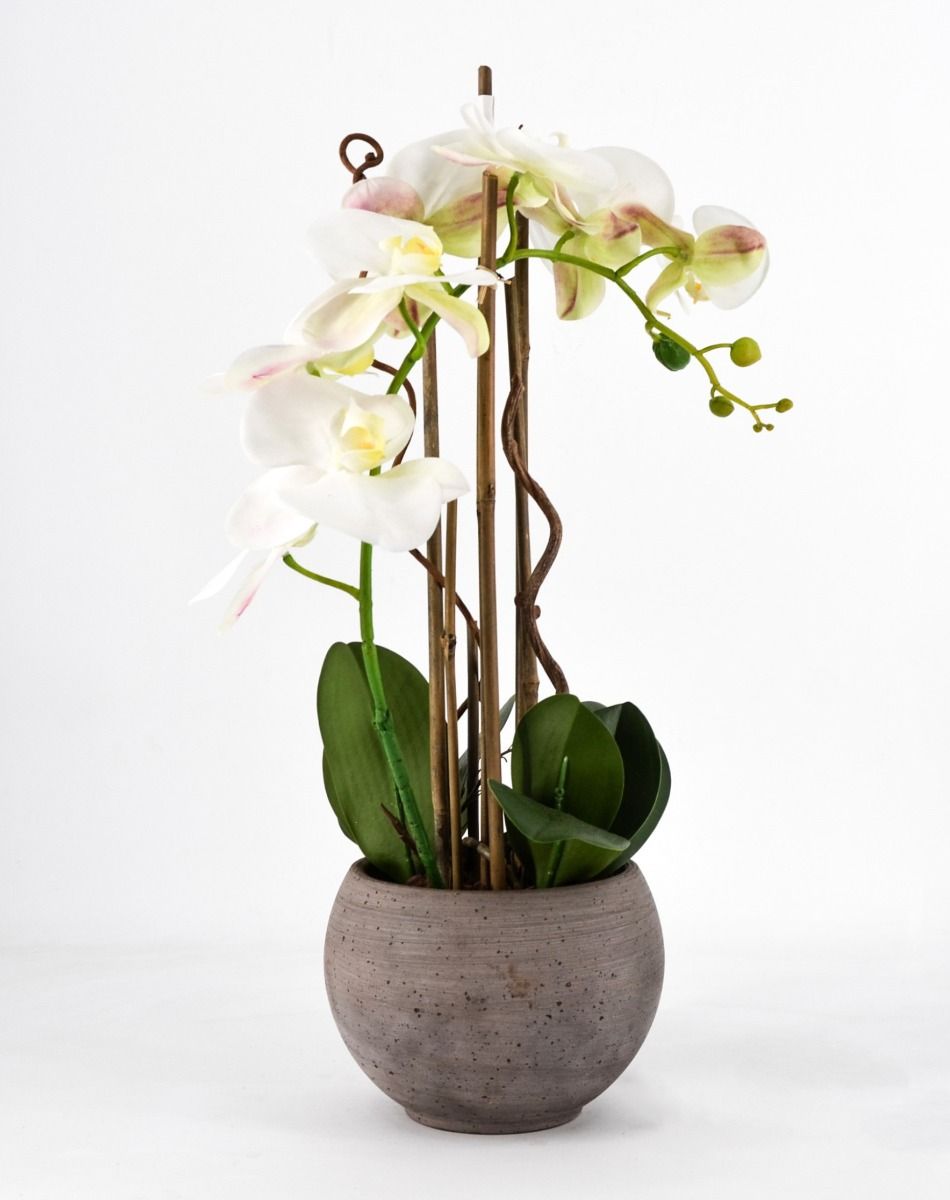 Phalaenopsis Orchidea Artificiale 80Cm Con Vaso Quadrato Arancione