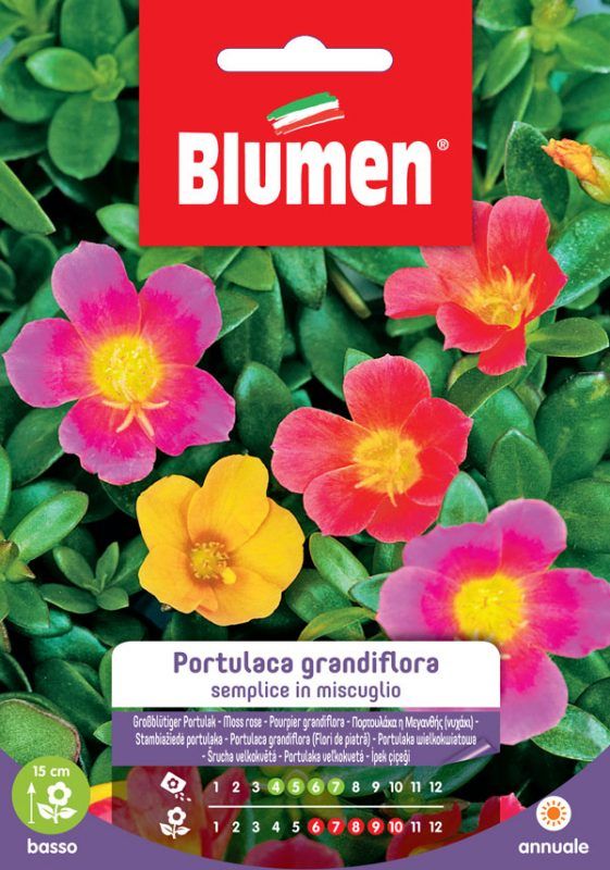 SEMI PORTULACA GRANDIFLORA BLUMEN - Sementi Fiori Peragashop