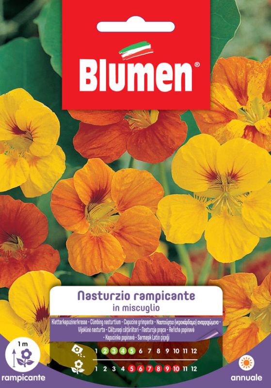 SEMI NASTURZIO RAMPICANTE MIX BLUMEN - Sementi Fiori Peragashop