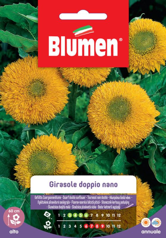 SEMI GIRASOLE DOPPIO NANO GIGANTE GIALLO - Sementi Fiori Peragashop