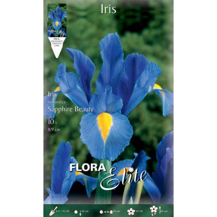 IRIS HOLLANDICA SAPPHIRE BEAUTY (CONFEZIONE DA 10 BULBI) 