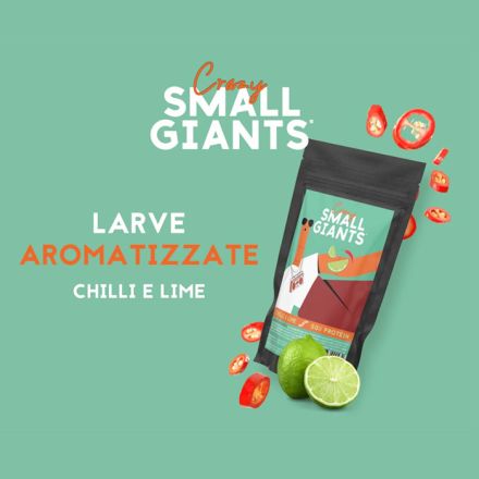 SNACK, LARVE ESSICCATE. 20G, CHILLI E LIME