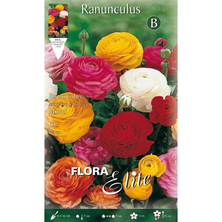 RANUNCULUS ASIATIC MIXED (CONFEZIONE DA 10 BULBI)