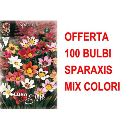 LIDL mix, piccoli elettrodomestici, utensili, cucina, giardino